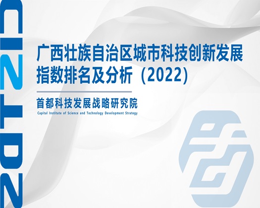 女生被大鸡巴内射爽视频【成果发布】广西壮族自治区城市科技创新发展指数排名及分析（2022）